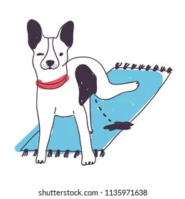 Tapetes absorbentes para mascotas